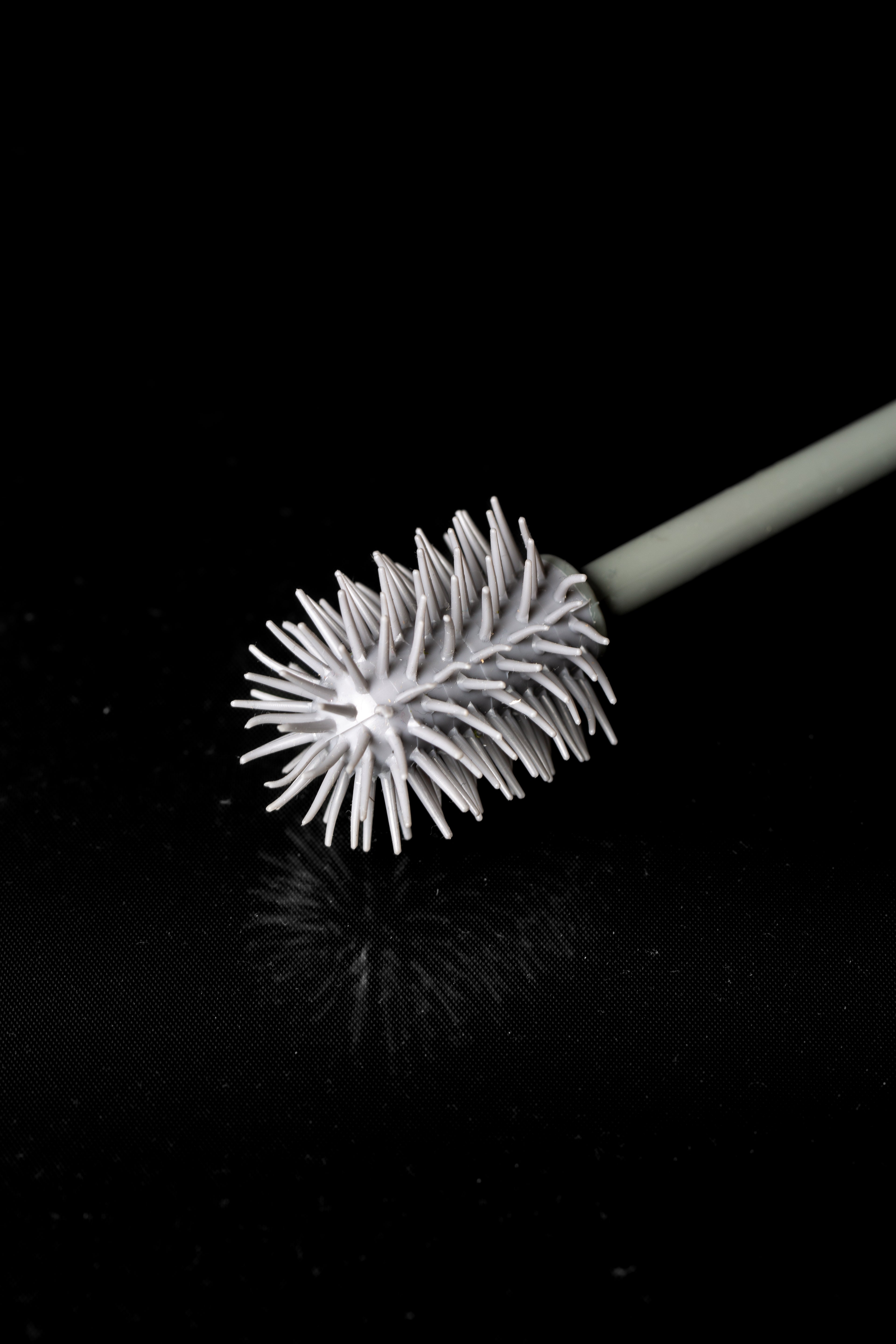 Cleaning brush